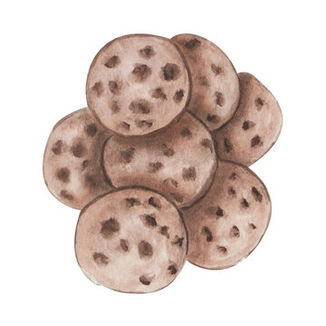 recommend clip art: Watercolor illustration of hand painted beige, brown cookies with piece of chocolate. Homemade food. Sweet dessert. Isolated on white clip art for kitchen prints, packaging, pattern making, posters
