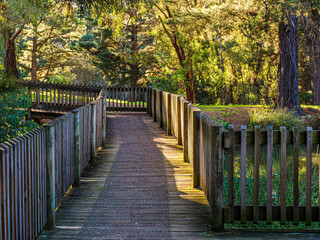 Boardwalk