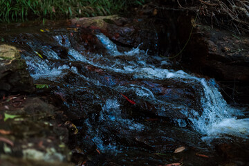 water stream in a mountain forest