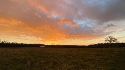 Obraz premium sunset in the field