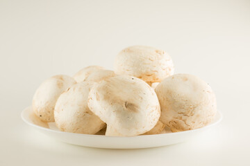 premium champignon mushrooms isolated