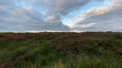 Welsh mountain walks on Halkyn