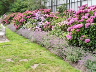 Botanischer Garten Hamburg (LOKI SCHMIDT-GARTEN)