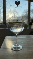 gin and tonic closeup