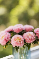 Pink chrysanthemum aster bouquet flowers