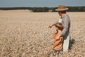 An old baker with grandson watching the wheat harvest in the field, turned back. Person dressed hat...