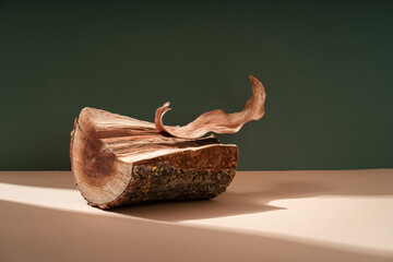 Composition empty podium material tree stone dry flowers. Product presentation. Background beige green. Beautiful background from natural materials.