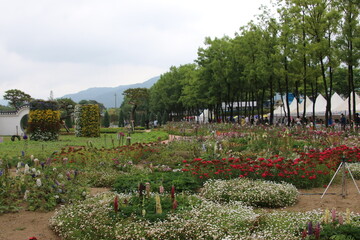 spring in the park