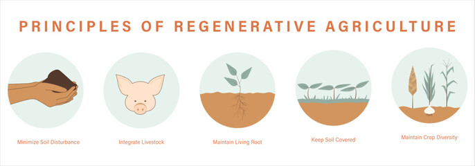 Principles of Regenerative Agriculture Icons Minimize Soil Disturbance Integrate Livestock Maintain Living Root Keep Soil Covered Maintain Crop Diversity