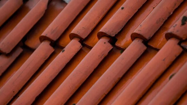 Close up of roof tiles on the rain