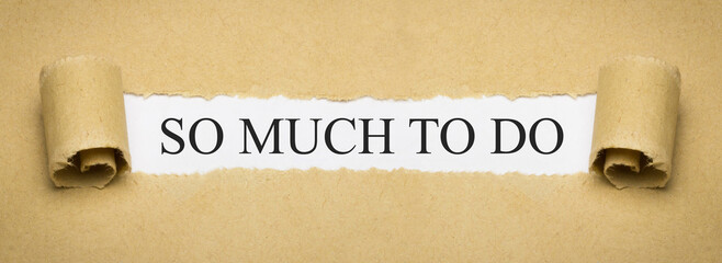 so much to do