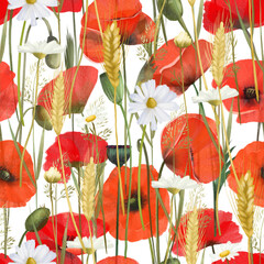 Seamless pattern of red poppies, chamomiles and wheat spikelets, illustration on white background