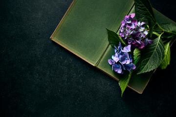 Hortensia flowers on an old open book. Top view. Copy space