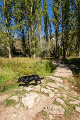Parque Natural del Cañón del Río Lobos, Soria, Comunidad Autónoma de Castilla, Spain, Europe