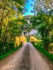 Fototapete bei efototapeten.de bestellen   