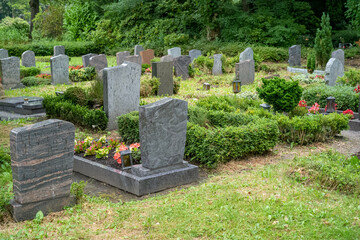 gravestones in a cemetery