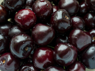 Ripe cherries with water drops, just plucked from the tree. Close-up.