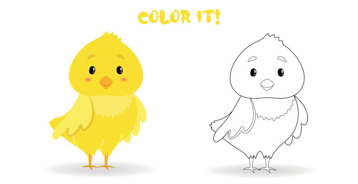 Coloring page for children. Color it. Little cute chicken vector illustration