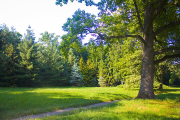 Landscape in State Park Trostianets in Chernigov region, Ukraine	
