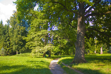 Landscape in State Park Trostianets in Chernigov region, Ukraine	
