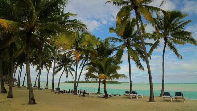 Palm trees and sunbed, chaise-longue on the beach of exotic Carribean Islands. High quality FullHD footage