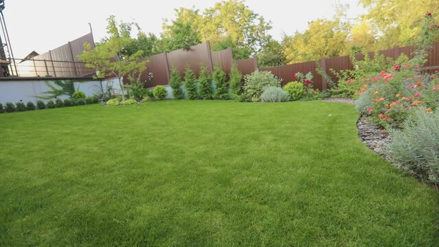 Beautiful backyard with lawn and ornamental plants. Panorama of a country house plot with beautiful plants and a lawn.