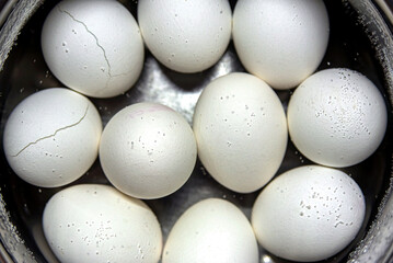 Ten chicken eggs, boiled in a saucepan. Close-up