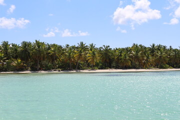 Der Blick auf die Insel