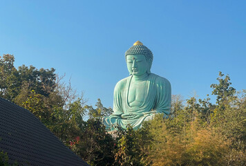 Great Buddha of Kamakura or Kamakura Daibutsu at Wat Doi Prachan temple, Lampang, Thailand.
