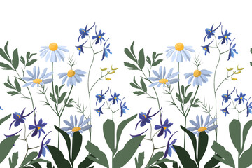 Vector floral seamless pattern, border. Horizontal panoramic illustration with wild and meadow flowers and herbs on a white background.
