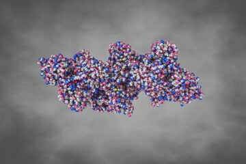 Human thioredoxin reductase 1. Space-filling molecular model on grey background. Rendering based on protein data bank entry 2j3n. Scientific background. 3d illustration