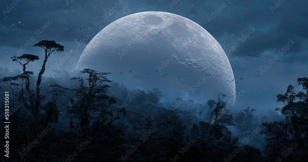 Wall mural jungle panorama with full moon