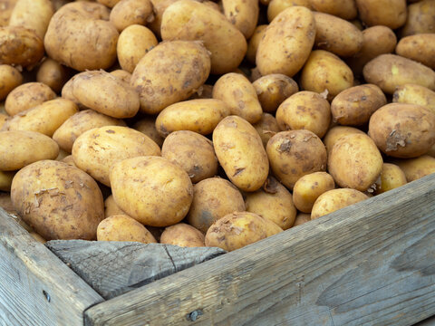 Grundnahrungsmittel Kartoffel - Vermarktung - Lebensmittelpreise