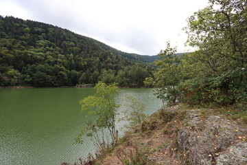 Lac d'Alfeld