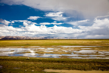 Landscape of Bolivia, prairie and mountains. Nature of Altiplano, South America