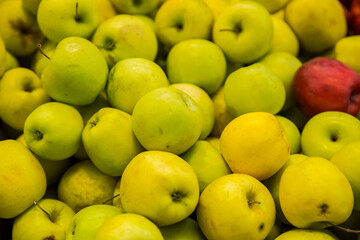 Seasonal fruits at the agricultural market, apples