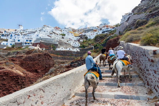 Santorin Greece. 06-11-2022. Tourists climbing stairs on horses at Oia village at  Santorin Island. Cyclades Island. Greece.