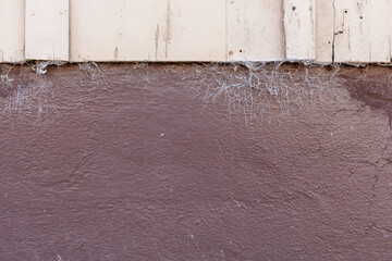 Old wooden house wall detail. Cobwebs and cracks in the paint.