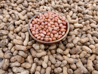Peanut pods, or peanut legume, harvest beans in hand, for selling 