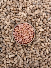 Peanut pods, or peanut legume, harvest beans in hand, for selling 