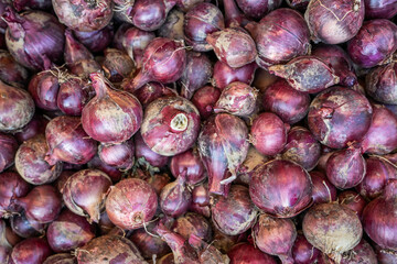 red onion full frame top view on fresh organic harvested onions stack bunch pile