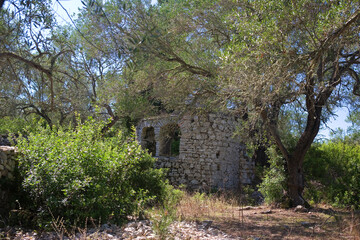 Fototapeta na wymiar The picturesque ruins of the tiny early Christian church of Agios Stefanos, forgotten in the midst of olive groves near Ozias, Paxos, Ionian Islands, Greece