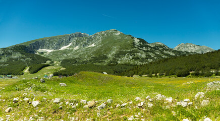 Fototapeta na wymiar Mountain landscape, Durmitor National Park,June, Croatia