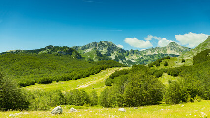 
Mountain landscape, Durmitor National Park,June, Croatia