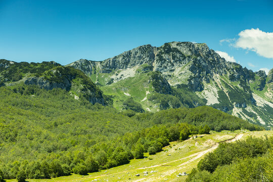 
Mountain landscape, Durmitor National Park,June, Croatia