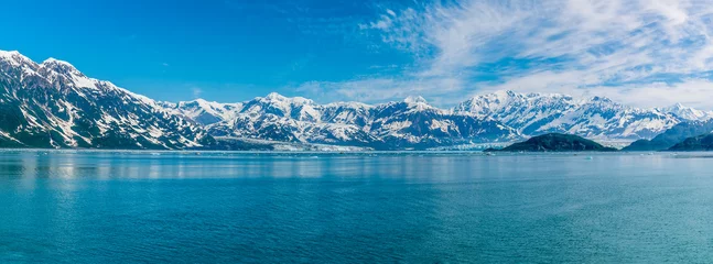 Gordijnen Gletsjer A panorama view across Disenchartment Bay towards headlands and glaciers in Alaska in summertime  © Nicola