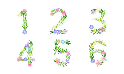 Floral numbers collection. 1,2,3,4,5,6 numerals made of spring meadow flowers and leaves vector illustration