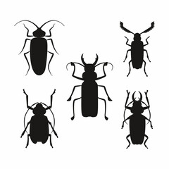 Set of Insects black silhouette. Vector. Eps10. Wildlife beetle.