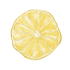 Watercolor illustration of lemon slices on a white background insulated element