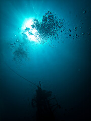 underwater scene with shipwreck